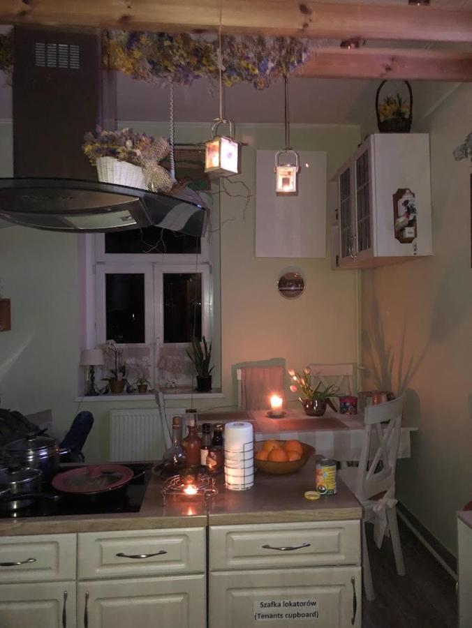 Appartement Dom Otwarty à Jelenia Góra Extérieur photo